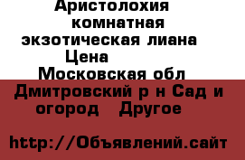 Аристолохия - комнатная экзотическая лиана. › Цена ­ 1 500 - Московская обл., Дмитровский р-н Сад и огород » Другое   